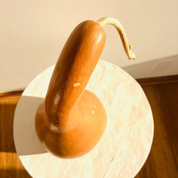 GORGEOUS DRIED ORGANIC GOURD - BEAUTIFUL‎ SHAPE AND COLOUR